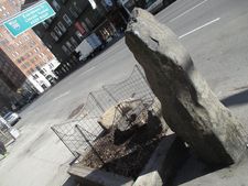 7000 Oaks tree cut down with damaged basalt stone